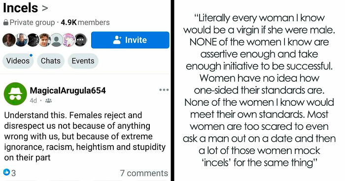 77 Involuntary Celibates Who Ended Up As The Saddest Clowns On The Internet (New Pics)