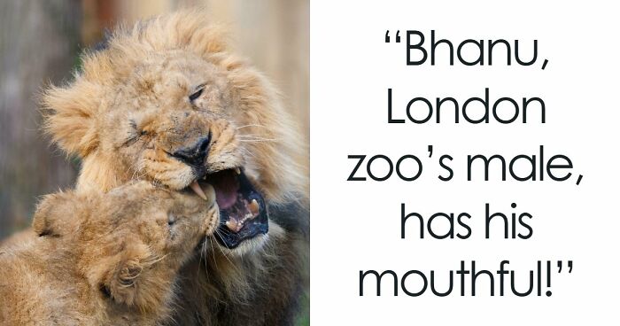 73 High-Quality Pics Showing Animals In All Their Glory