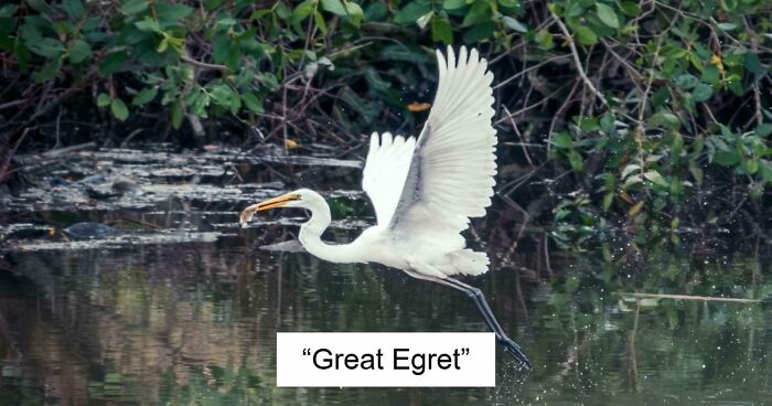 73 High-Quality Pics Showing Animals In All Their Glory