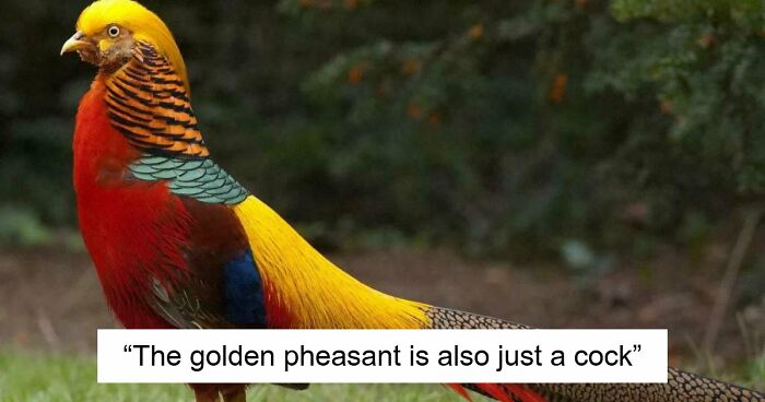 73 High-Quality Pics Showing Animals In All Their Glory