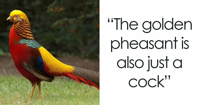 73 High-Quality Pics Showing Animals In All Their Glory