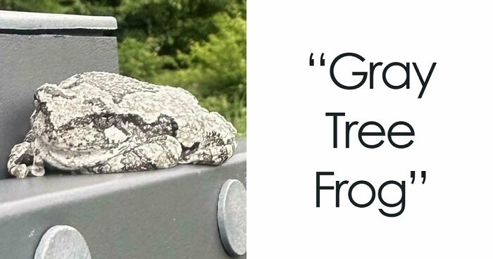 73 High-Quality Pics Showing Animals In All Their Glory