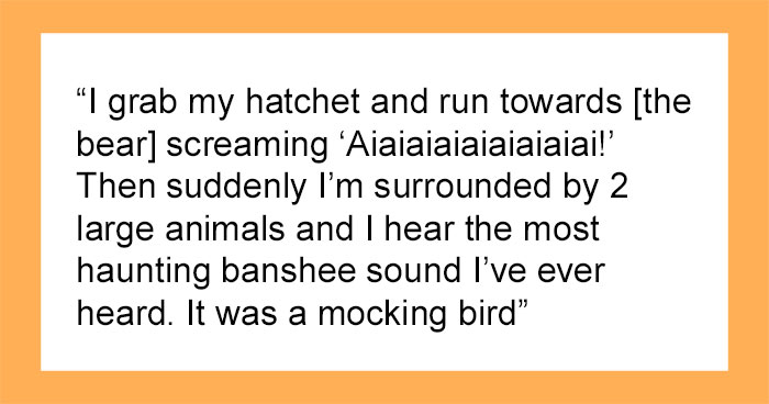 “Footsteps Outside My Tent”: 43 Terrifying Experiences People Have Had In The Woods