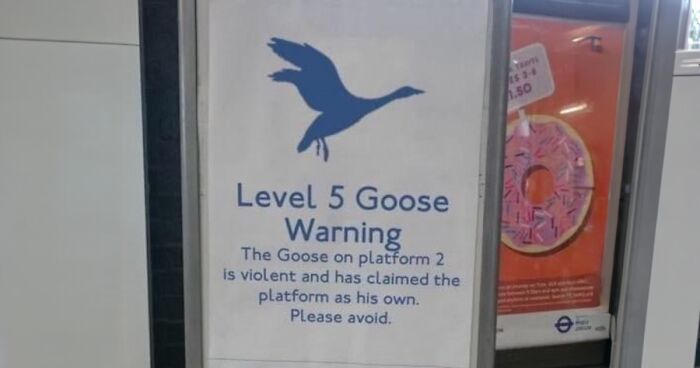 65 Hilarious Tweets That Show Living In The UK Is A Unique Experience