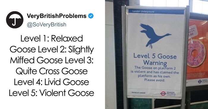 65 Hilarious Tweets That Show Living In The UK Is A Unique Experience