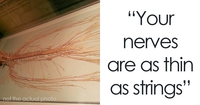 “Either God Or Evolution Is A Terrible Designer”: 59 Things That Freak People Out About Their Own Bodies