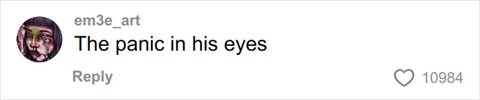 Comment text reading The panic in his eyes by user em3e_art on a social media post, expressing shock over dramatic twist involving husband messaging wife on Tinder.