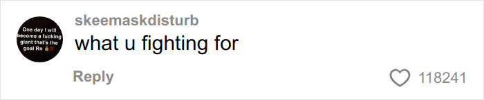 Comment on a social media post with username skeemaskdisturb saying what u fighting for, showing high engagement.