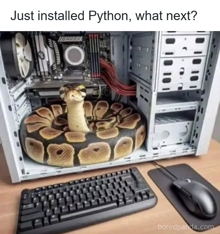 A snake coiled inside a computer case with keyboard and mouse, humorously linked to Python coding memes.