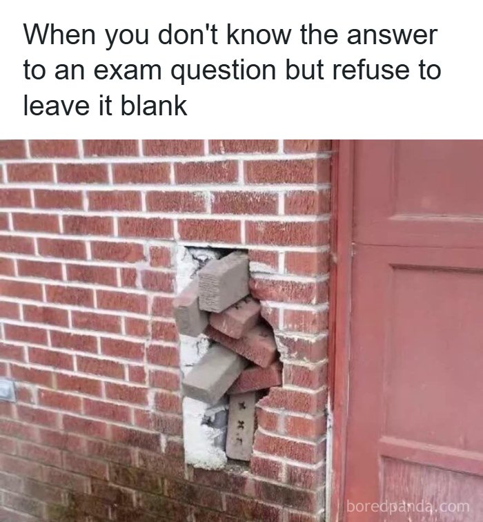 A humorous meme showing a poorly filled brick wall hole, illustrating memes to function properly in difficult situations.