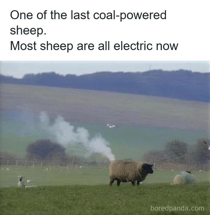 Sheep on grass field with smoke coming out, humorous meme for those who need memes to function properly and entertained
