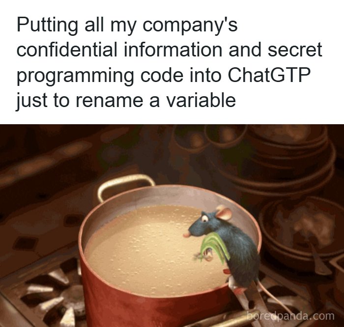 Programming meme showing a rat from Ratatouille in a pot, illustrating the struggle of debugging and coding.