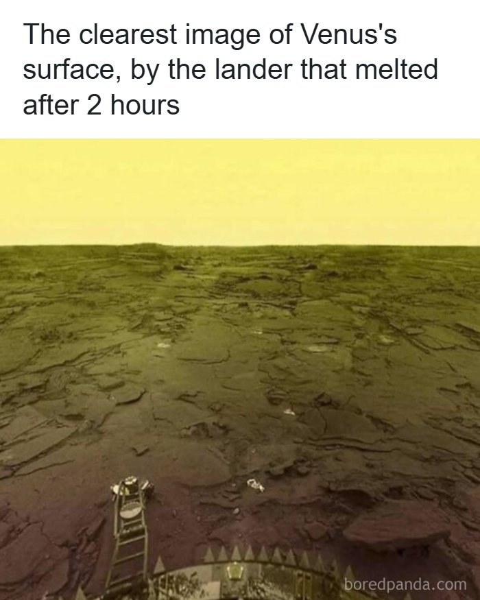 Clearest image of Venus’s surface captured by a lander that melted after two hours on the planet.
