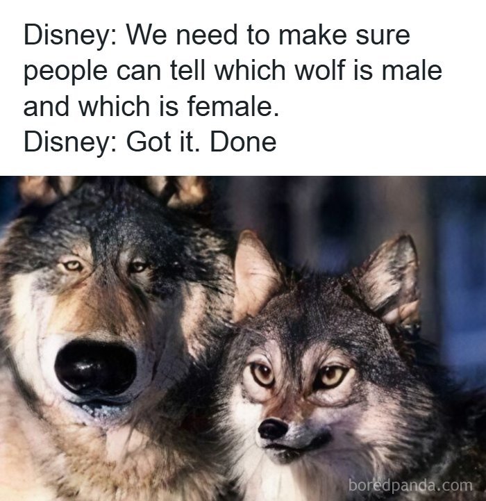 Two wolves with exaggerated facial features humorously edited to highlight male and female differences in favorite internet moments.