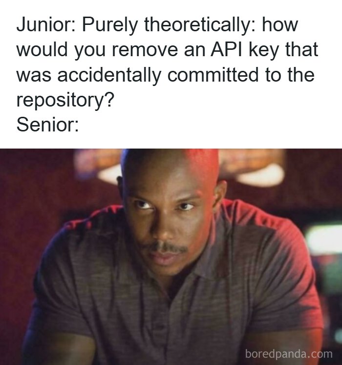 Programmer meme showing a serious senior developer reacting to removing an accidentally committed API key in debugging.