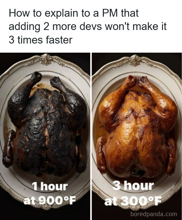 Comparison of two roasted chickens showing the struggle of explaining programming speed to a project manager with cooking humor.