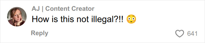 Comment by content creator questioning legality of fashion brand plagiarizing her likeness with AI photos in a controversial ad.