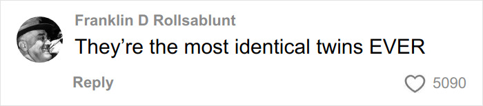 Screenshot of a social media comment praising Mary-Kate and Ashley Olsen as the most identical twins, related to their disappearance and rift.