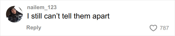 Social media comment from user nailem_123 saying they still can't tell Mary-Kate and Ashley Olsen apart.