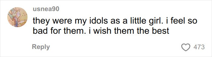 Comment from user usnea90 expressing admiration and sympathy for Mary-Kate and Ashley Olsen&rsquo;s disappearance and rift.