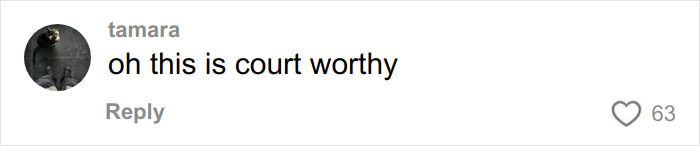 Comment by user tamara stating oh this is court worthy with 63 likes discussing fashion brand AI photos plagiarism controversy.