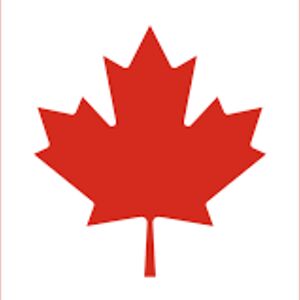 notable-alligator-lqtw avatar