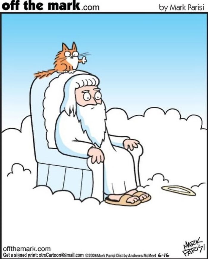 This Artist Perfectly Captures What It’s Really Like To Live With Cats In These New Comics (Part 3)