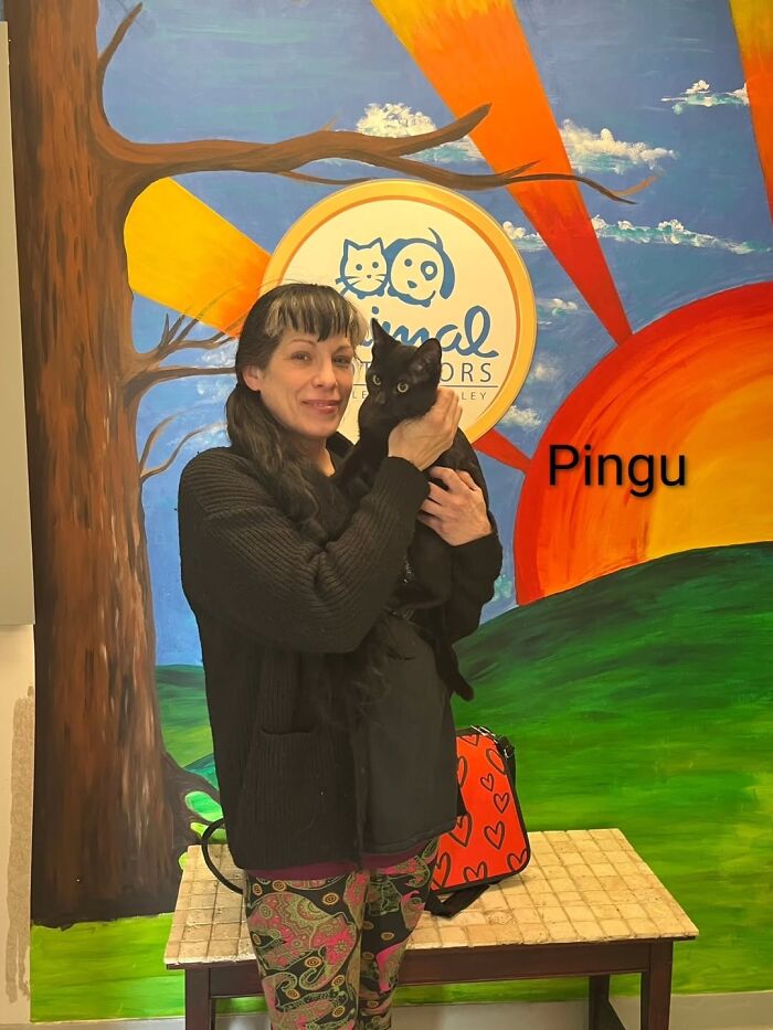 Inspired By AI, This Shelter Created An Event Where Dogs Choose Their Humans—and People Can’t Get Enough (42 Pics + 1 Video)