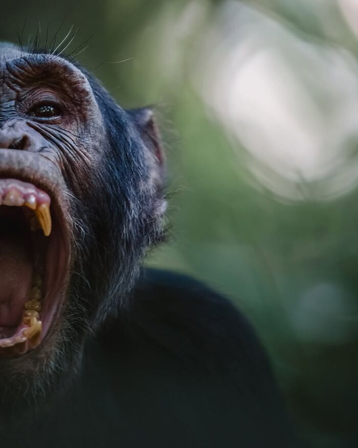 Stunning Wildlife Photography By Alexandra That Brings Us Closer To Nature (40 Pics)-Interview