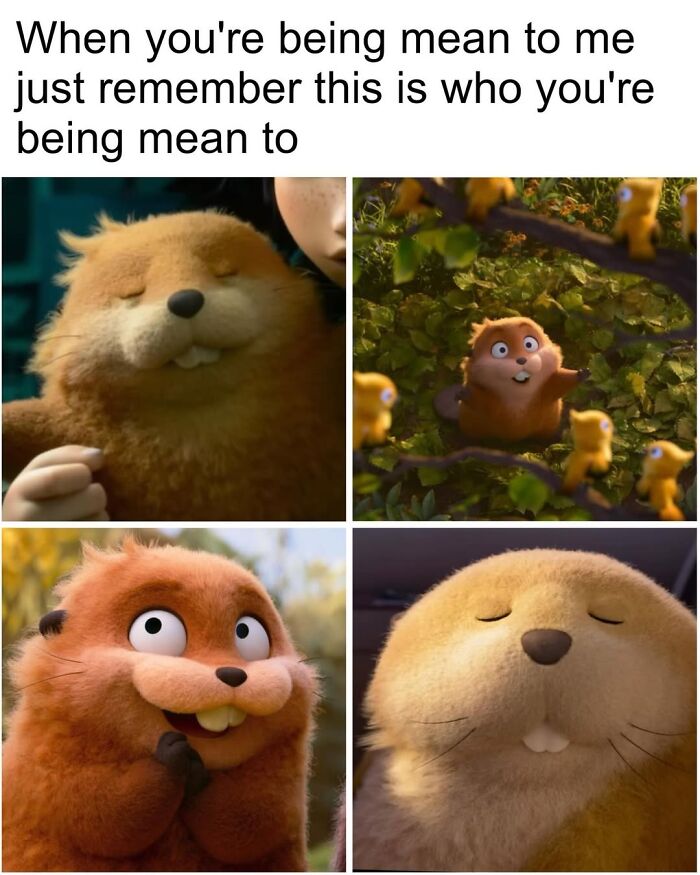 50 Animal Memes So Perfectly Timed They Feel Scripted (But They’re Not)