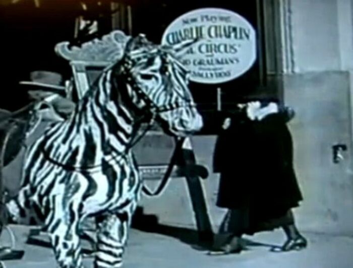 Old photograph showing a person with a zebra-striped horse costume, evoking strange time travel mystery.