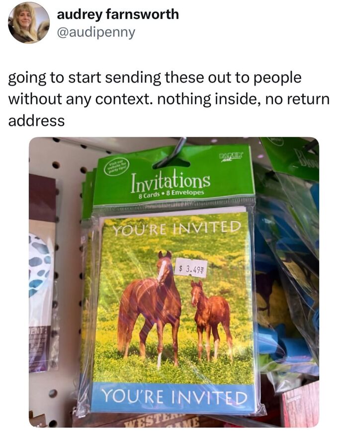 50 Animal Memes So Perfectly Timed They Feel Scripted (But They’re Not)