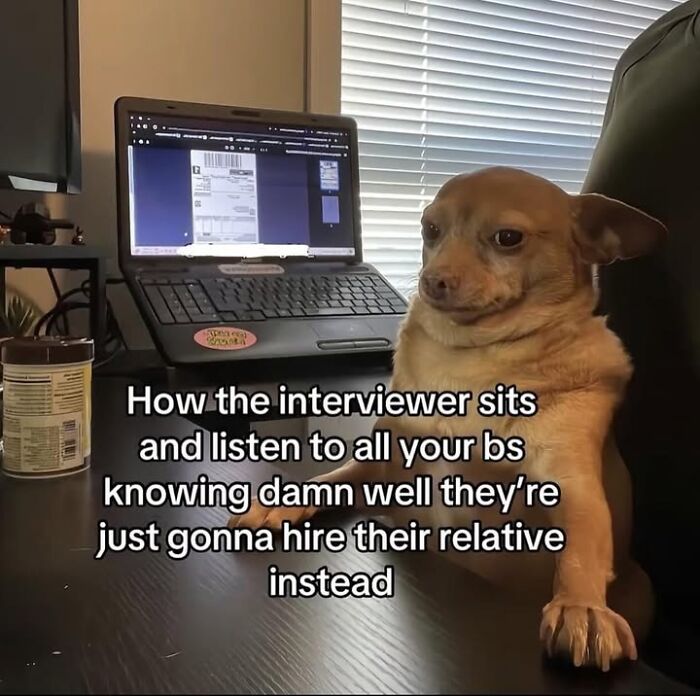 50 Animal Memes So Perfectly Timed They Feel Scripted (But They’re Not)