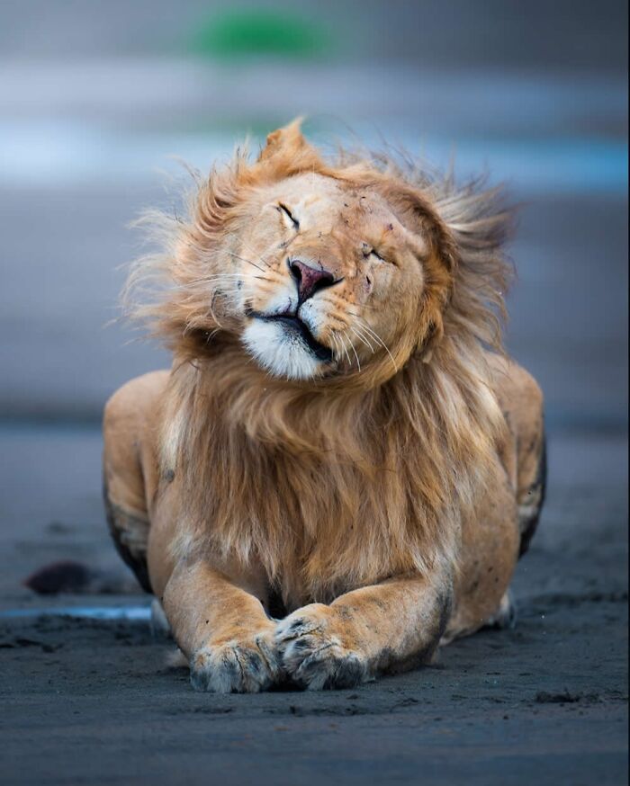 Stunning Wildlife Photography By Alexandra That Brings Us Closer To Nature (40 Pics)-Interview