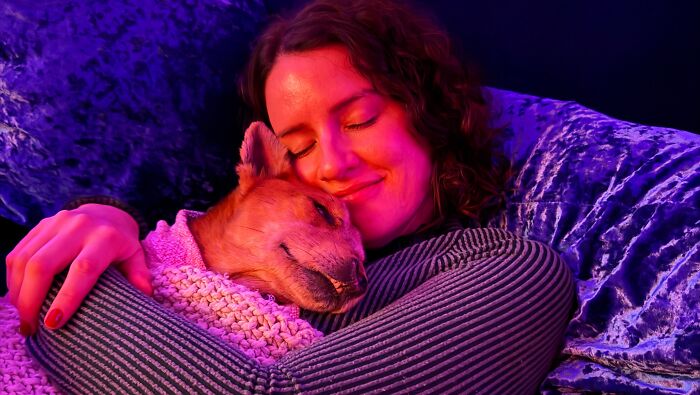 After Surviving Cruelty, This Dog Found Safety, Love, And A Reunion No One Expected