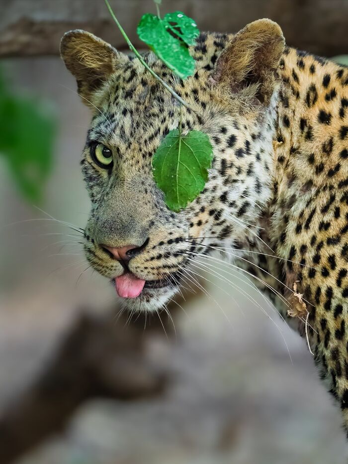 Stunning Wildlife Photography By Alexandra That Brings Us Closer To Nature (40 Pics)-Interview