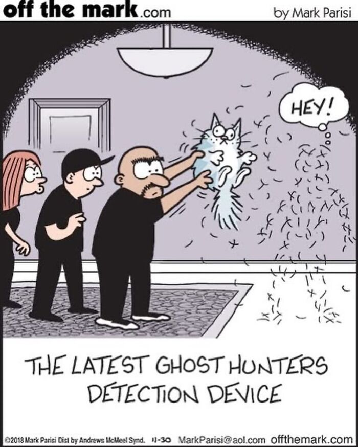 This Artist Perfectly Captures What It’s Really Like To Live With Cats In These New Comics (Part 3)