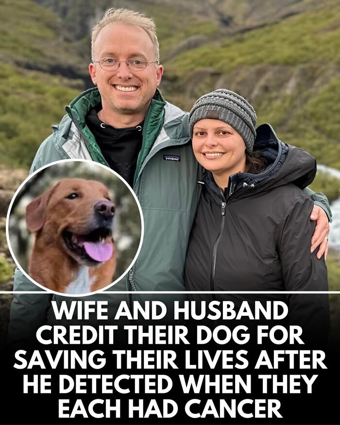 This Instagram Page Shares Incredible Dog Stories That Prove Dogs Truly Make The World A Better Place (50 Pics)