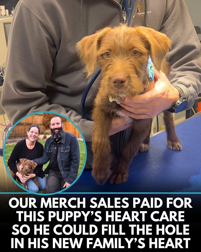 This Instagram Page Shares Incredible Dog Stories That Prove Dogs Truly Make The World A Better Place (50 Pics)