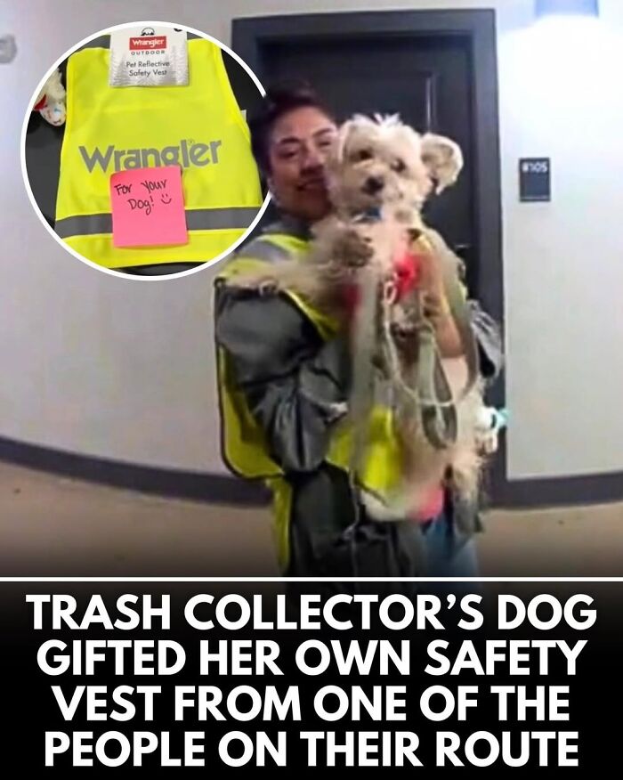 This Instagram Page Shares Incredible Dog Stories That Prove Dogs Truly Make The World A Better Place (50 Pics)