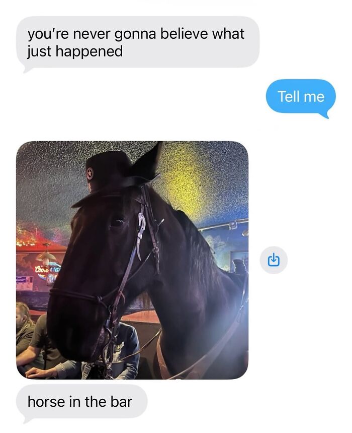 50 Animal Memes So Perfectly Timed They Feel Scripted (But They’re Not)