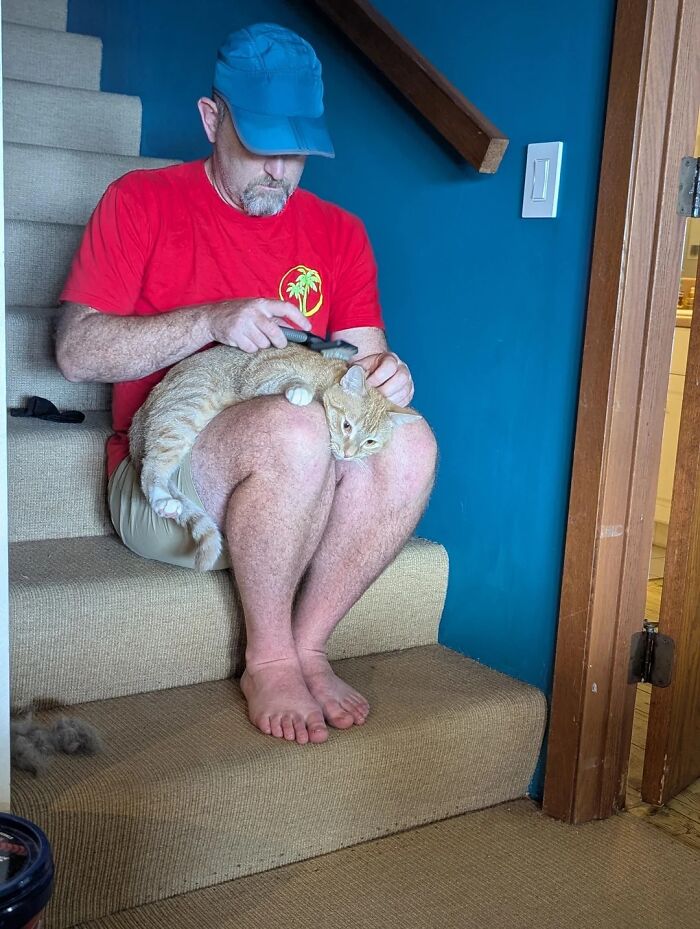 Dad brushing a cat on his lap while sitting on carpeted stairs, showcasing dads and the pets they love.