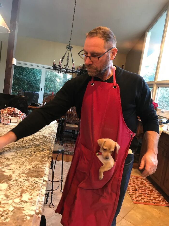 Man wearing glasses and red apron with small puppy in pocket in kitchen, showing dads and pets bond.