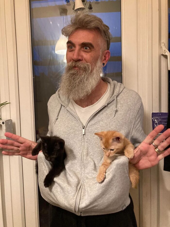 Bearded dad wearing a gray hoodie with two kittens in the pockets, showing love for pets he never wanted.