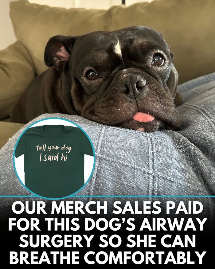 This Instagram Page Shares Incredible Dog Stories That Prove Dogs Truly Make The World A Better Place (50 Pics)