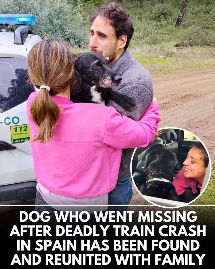 This Instagram Page Shares Incredible Dog Stories That Prove Dogs Truly Make The World A Better Place (50 Pics)