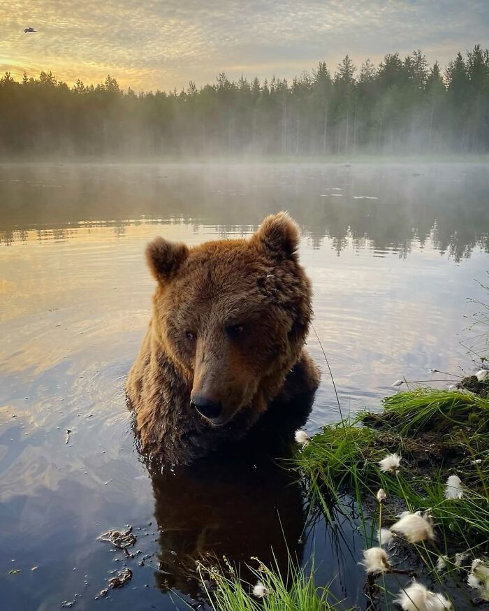 Stunning Wildlife Photography By Alexandra That Brings Us Closer To Nature (40 Pics)-Interview