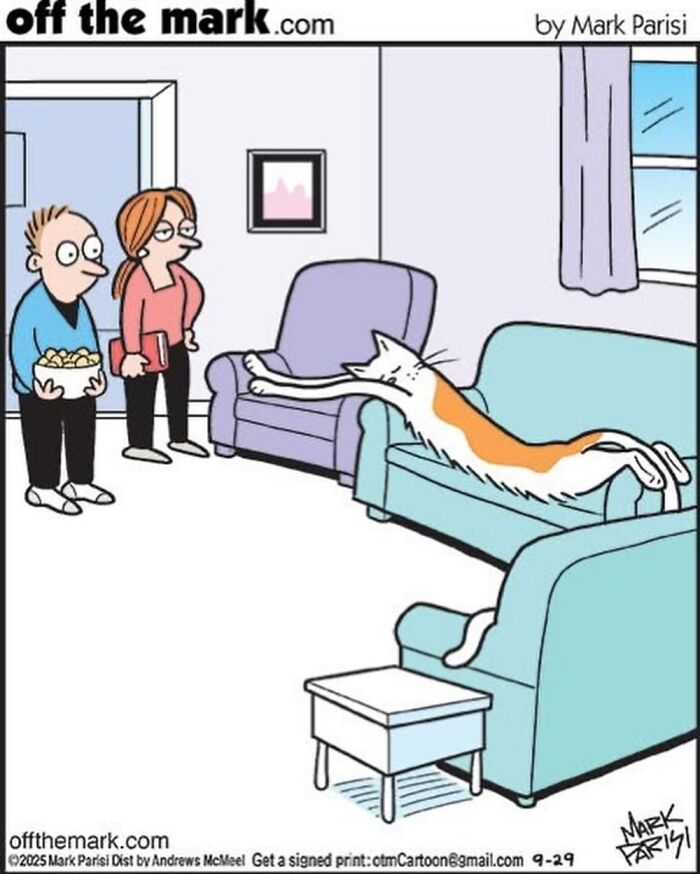 This Artist Perfectly Captures What It’s Really Like To Live With Cats In These New Comics (Part 3)