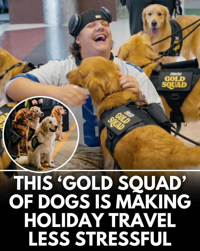 This Instagram Page Shares Incredible Dog Stories That Prove Dogs Truly Make The World A Better Place (50 Pics)