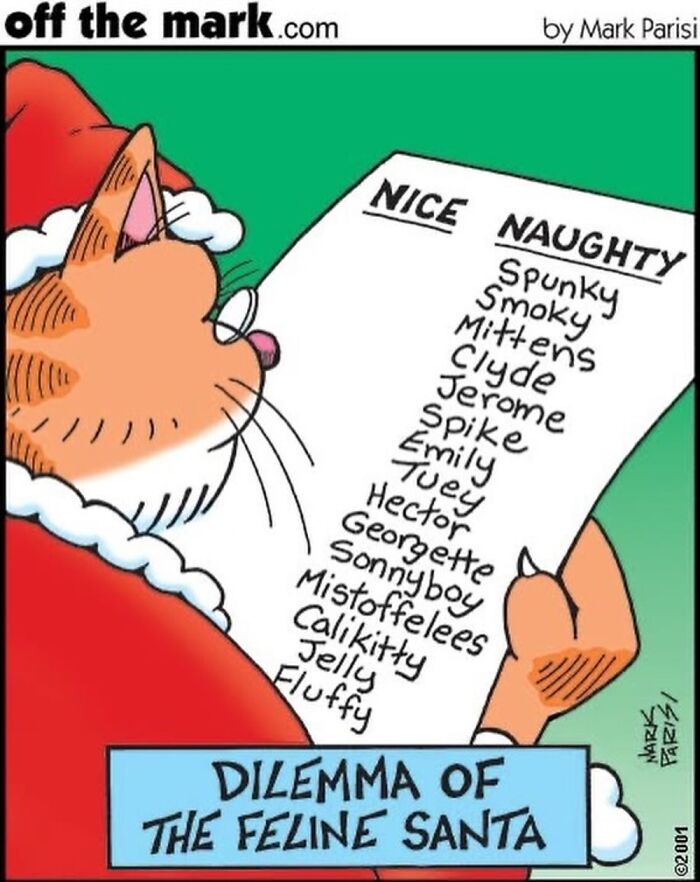 This Artist Perfectly Captures What It’s Really Like To Live With Cats In These New Comics (Part 3)